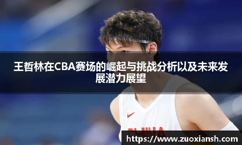 王哲林在CBA赛场的崛起与挑战分析以及未来发展潜力展望