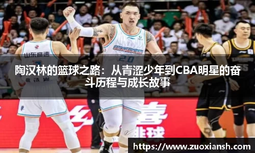 陶汉林的篮球之路：从青涩少年到CBA明星的奋斗历程与成长故事
